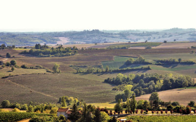 Comune di Vignale Monferrato (AL)